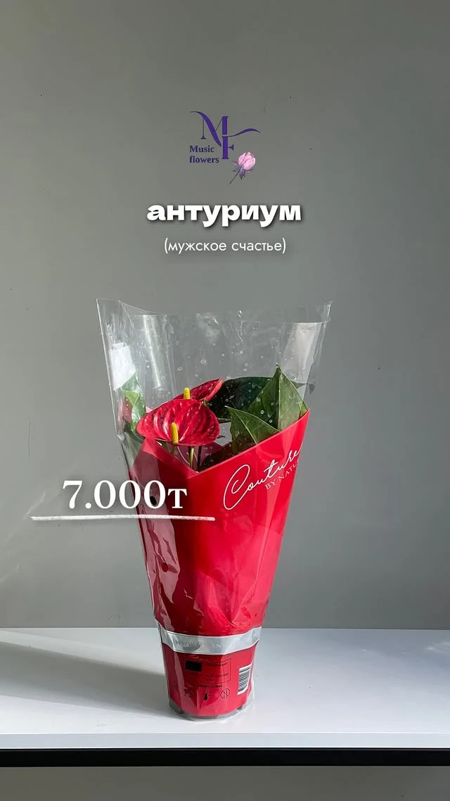 Антуриум